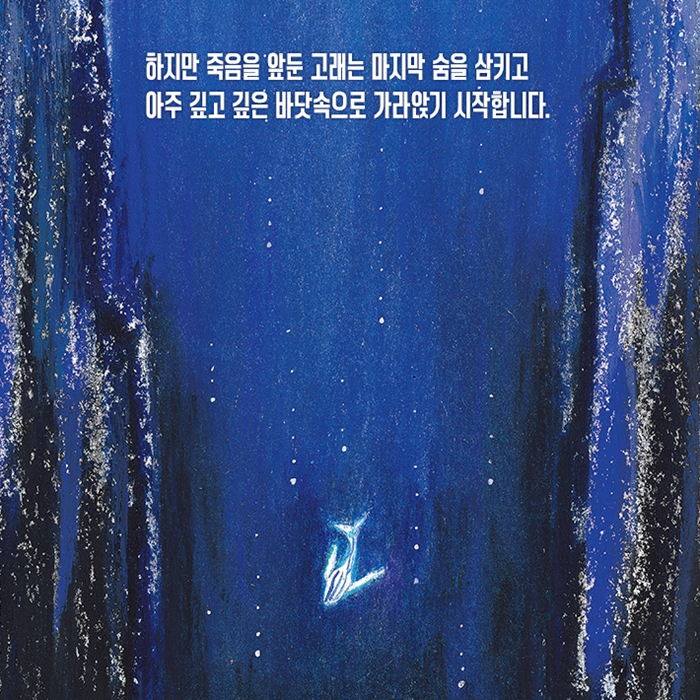 고래 낙하 카드뉴스 1