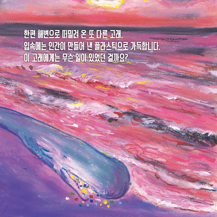고래 낙하 카드뉴스 8