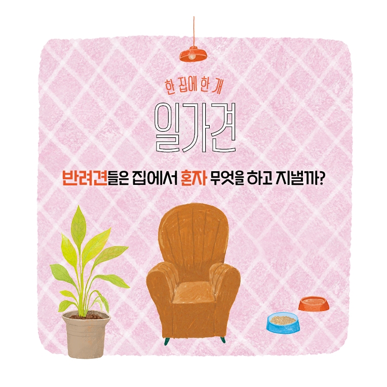 일가 카드뉴스 0