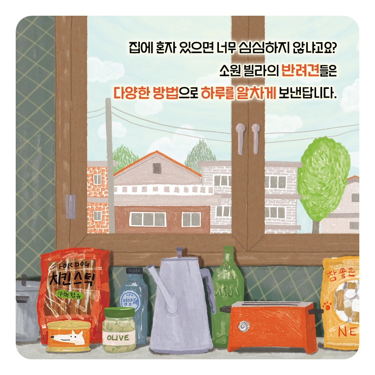 일가 카드뉴스 4