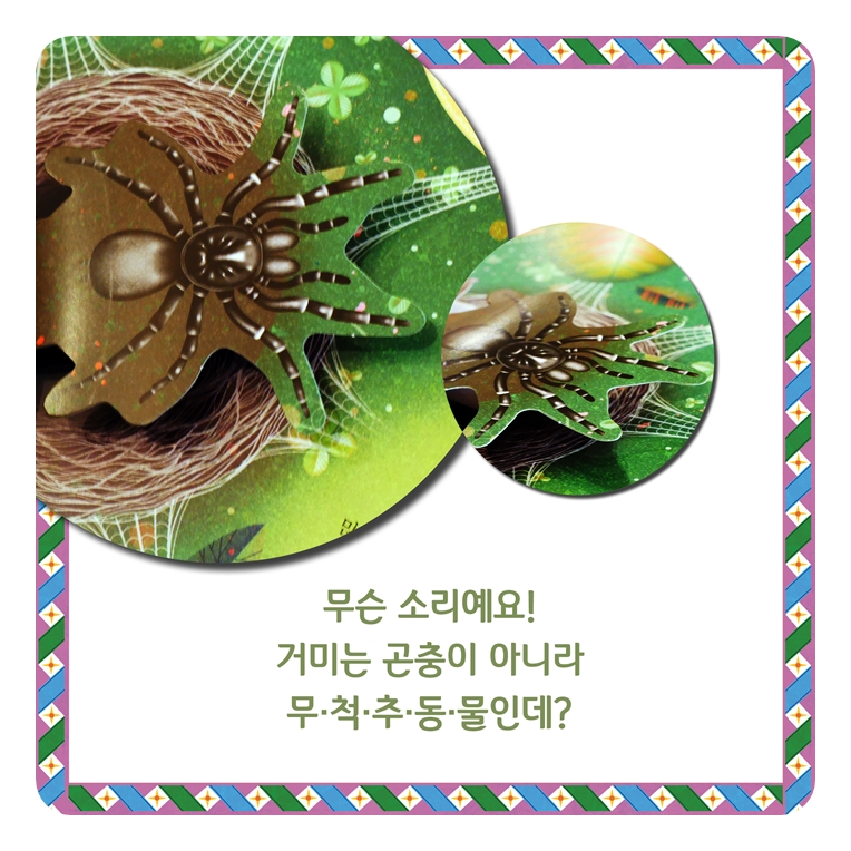 경이로운 곤충 팝업북 카드뉴스 6