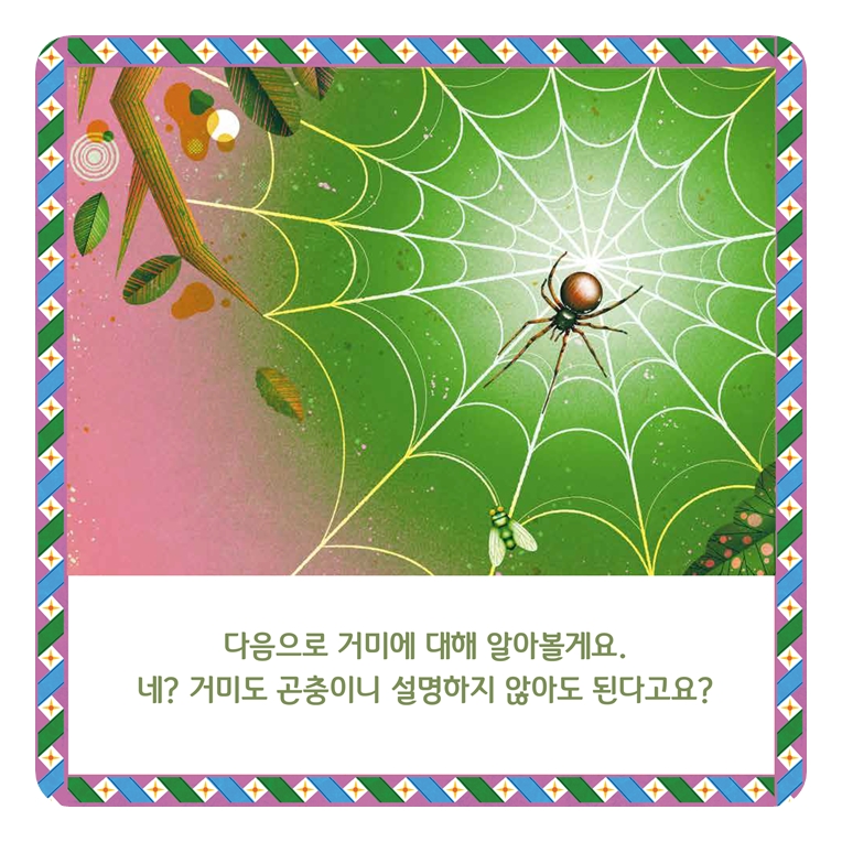 경이로운 곤충 팝업북 카드뉴스 5