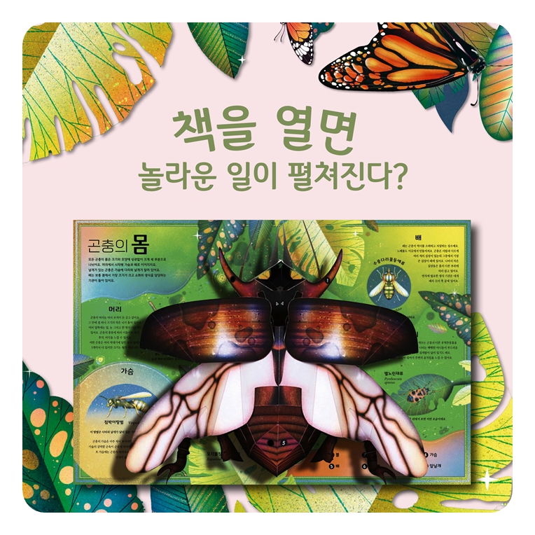 경이로운 곤충 팝업북 카드뉴스 0
