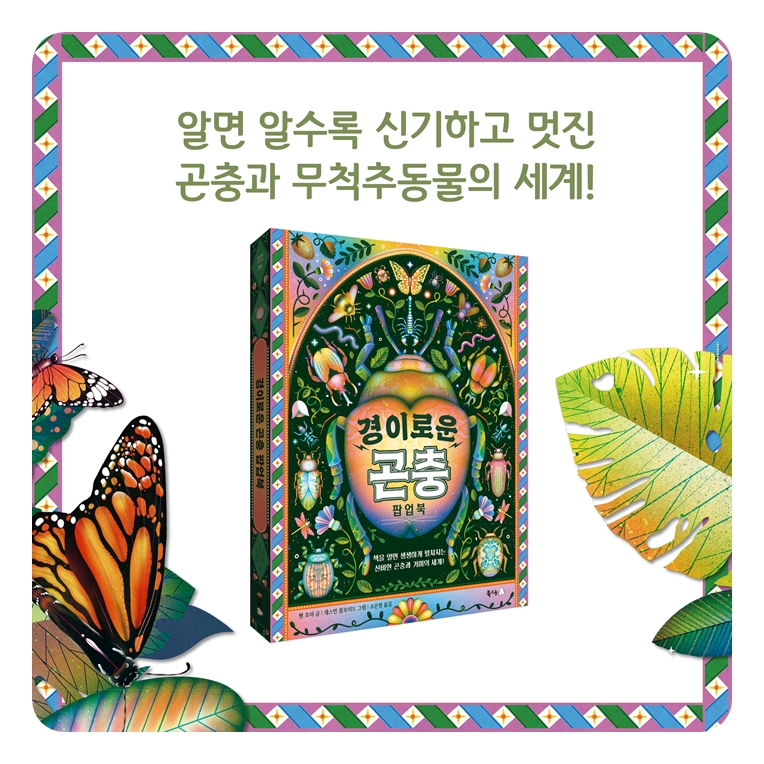 경이로운 곤충 팝업북 카드뉴스 8
