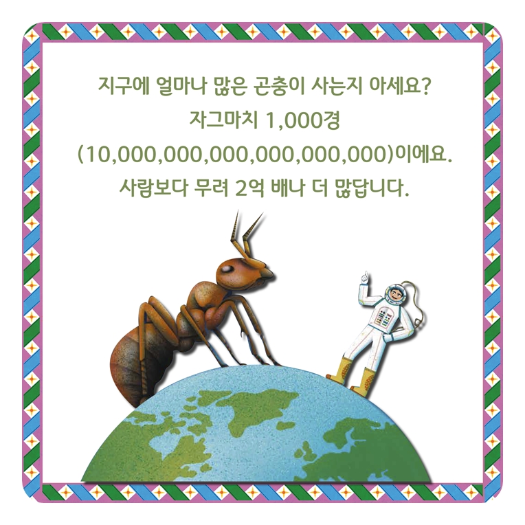 경이로운 곤충 팝업북 카드뉴스 1