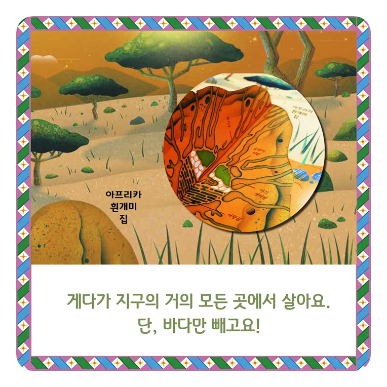 경이로운 곤충 팝업북 카드뉴스 3