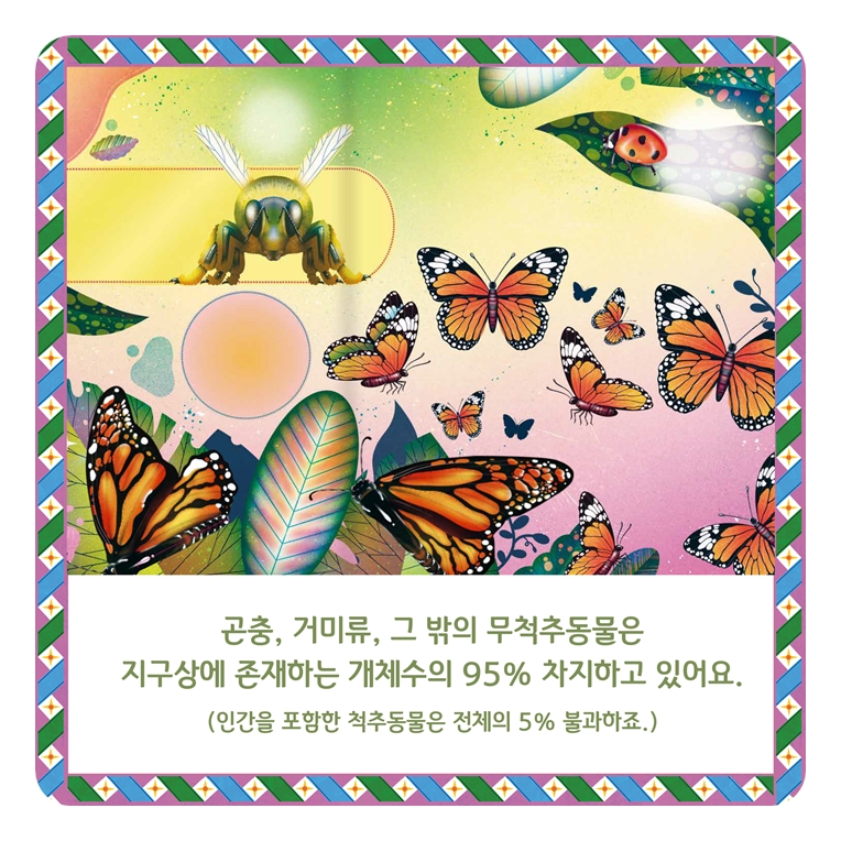 경이로운 곤충 팝업북 카드뉴스 2