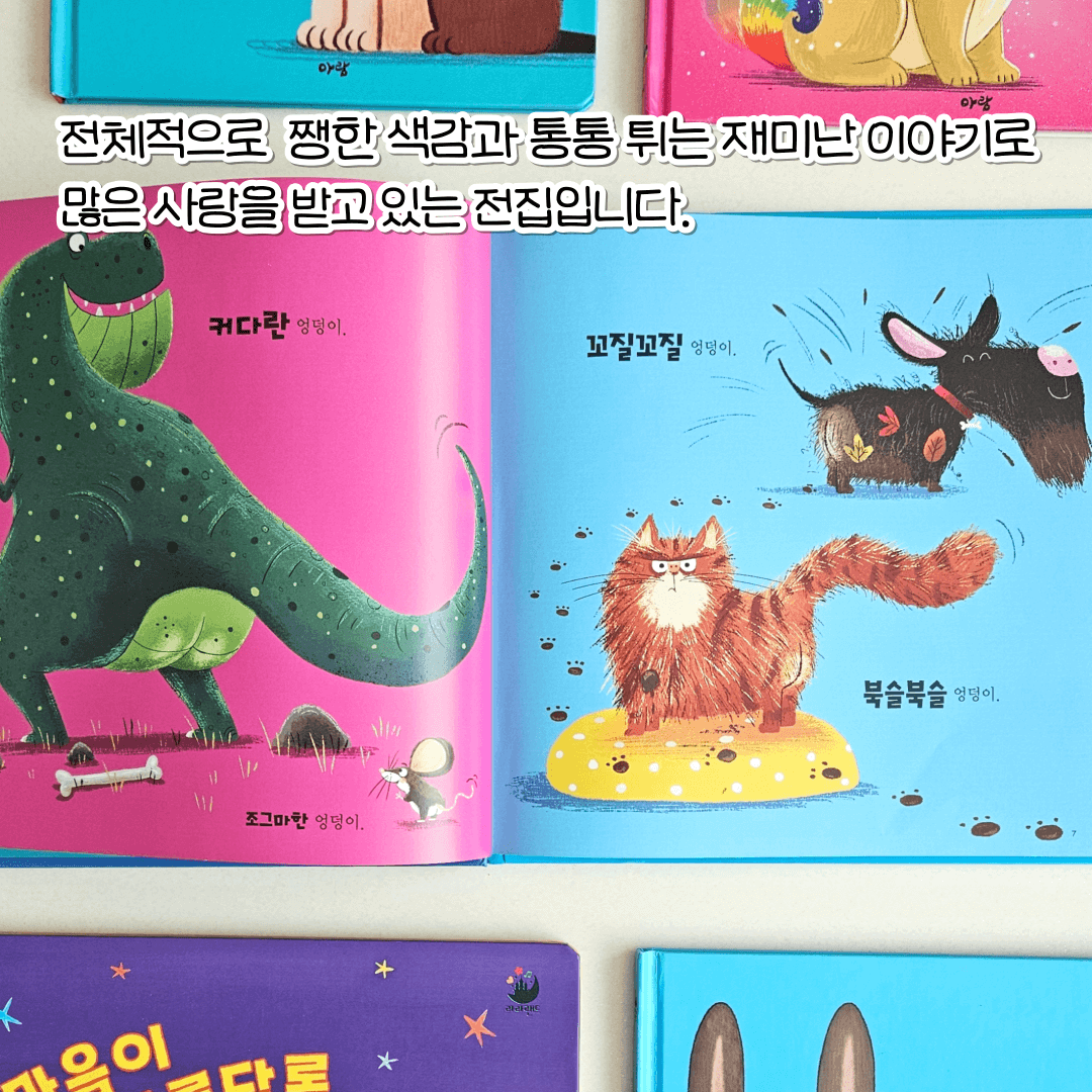 라라랜드 카드뉴스 2