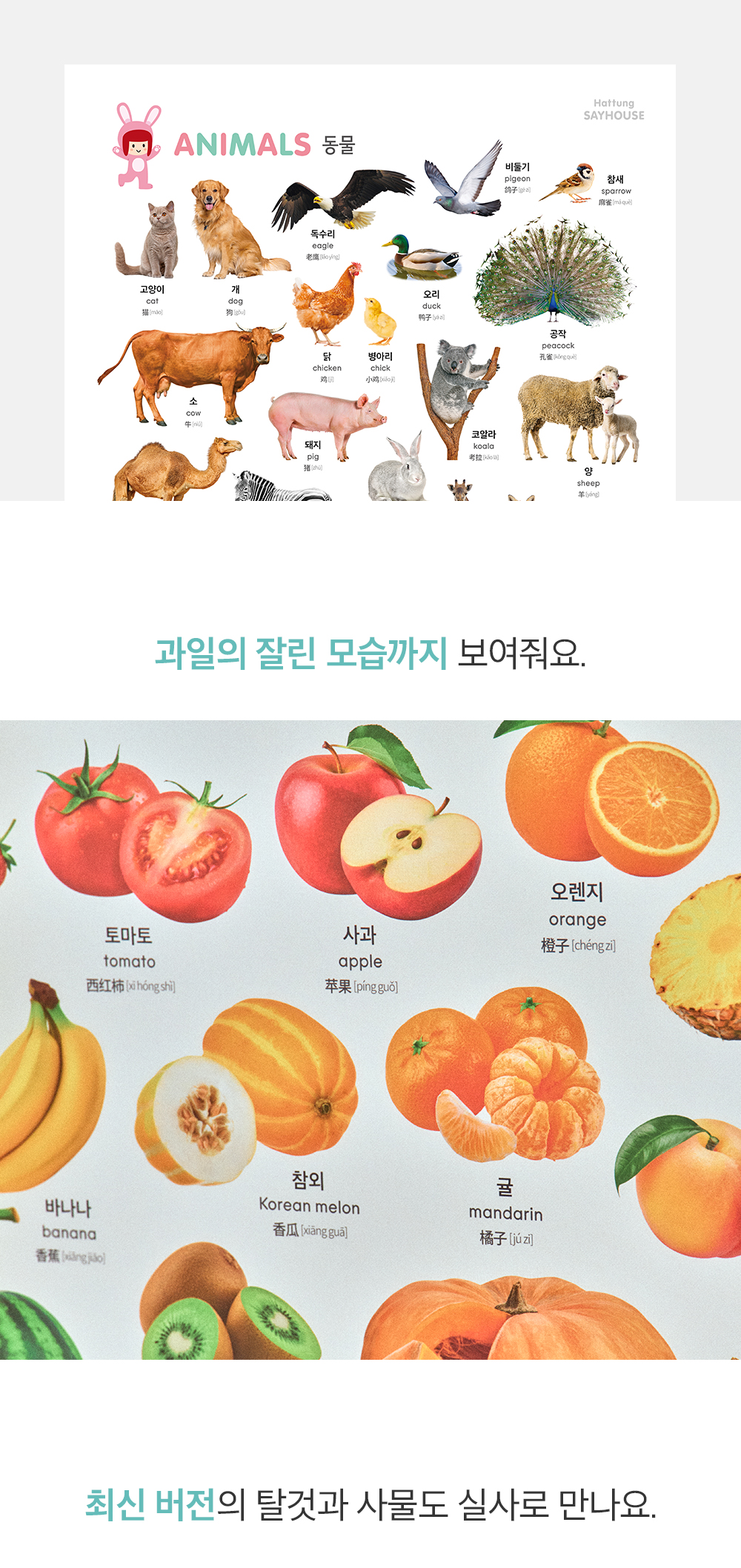 하뚱 세이하우스 상세 이미지 40