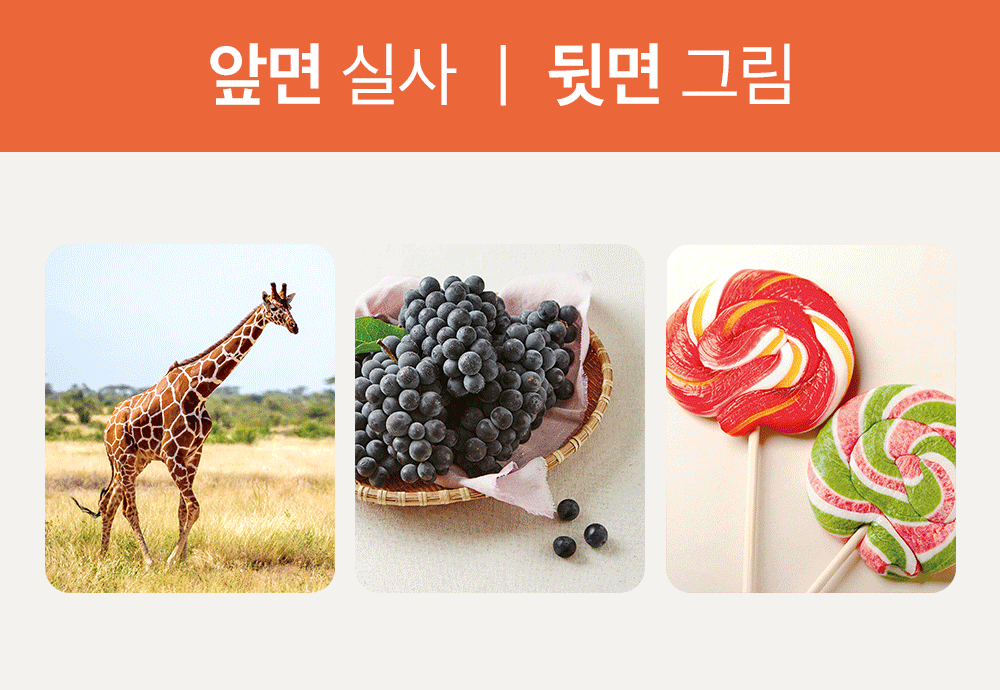 하뚱 낱말카드 상세 이미지 3