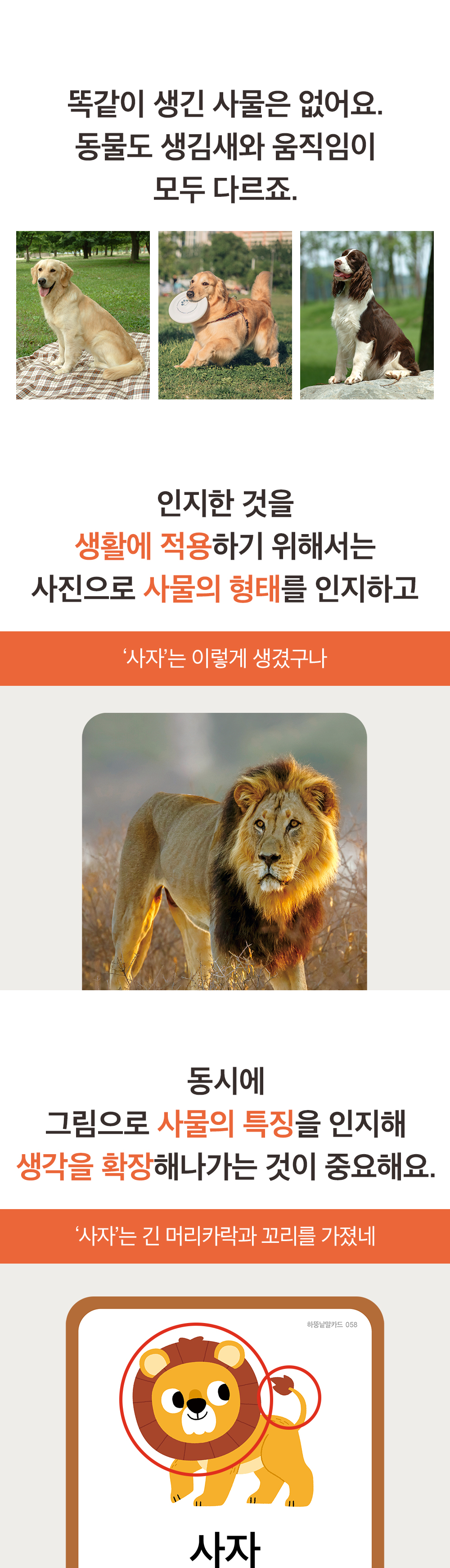 하뚱 낱말카드 상세 이미지 10