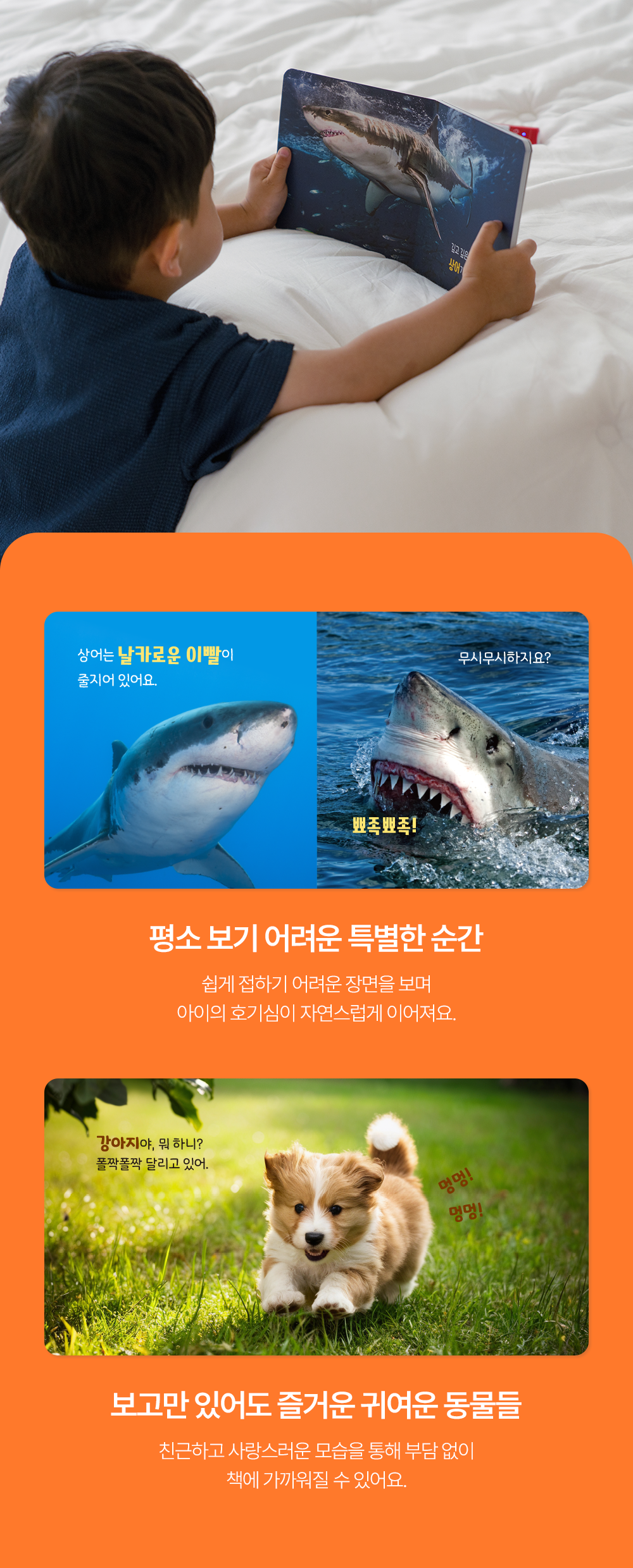 NEW 캥거루 자연주머니
26년 개정판 상세 이미지 15