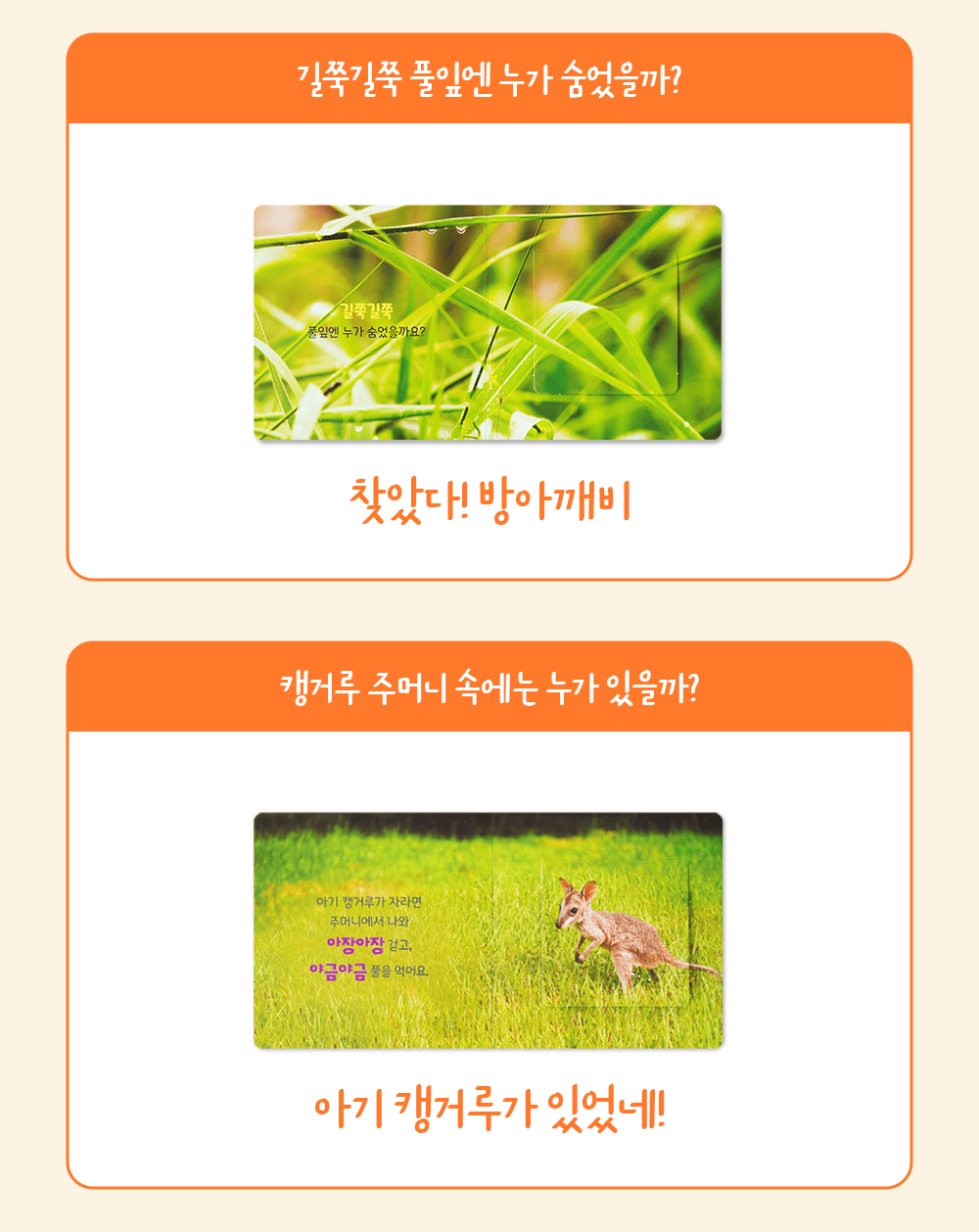 NEW 캥거루 자연주머니
26년 개정판 상세 이미지 17