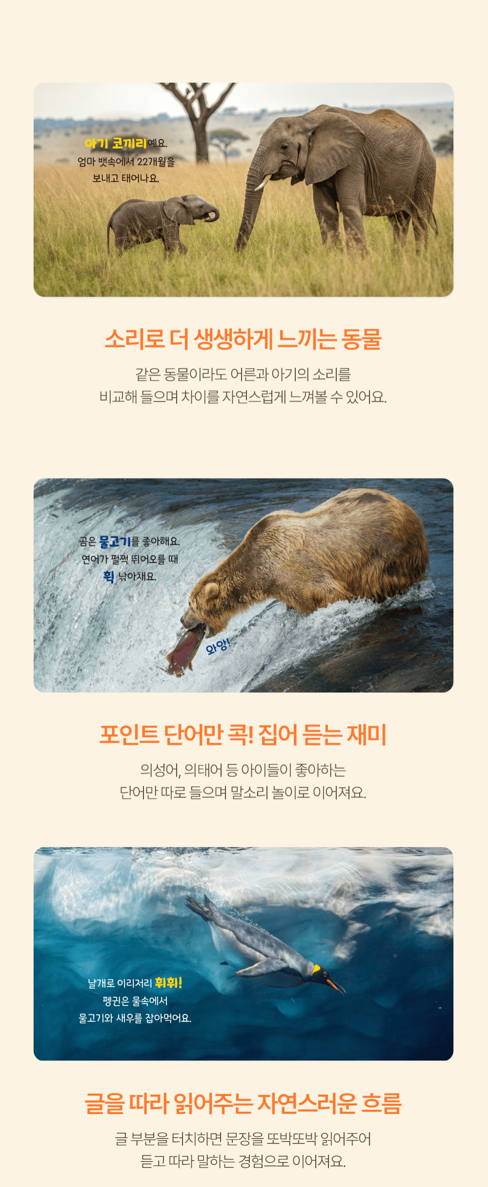 NEW 캥거루 자연주머니
26년 개정판 상세 이미지 20