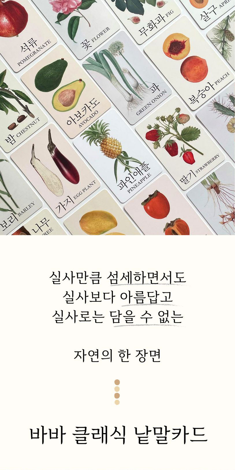 클래식 세밀화 낱말카드 
(동식물/과일) 상세 이미지 1