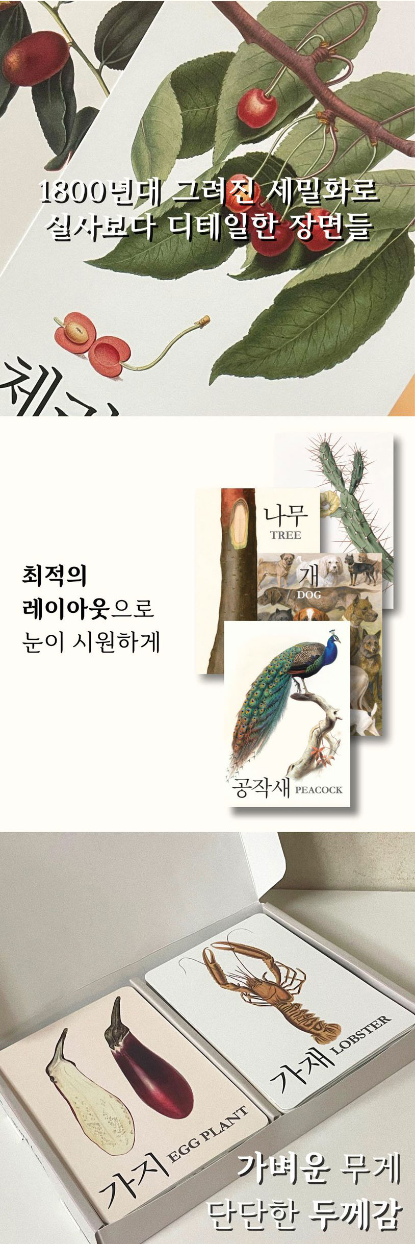 클래식 세밀화 낱말카드 
(동식물/과일) 상세 이미지 2