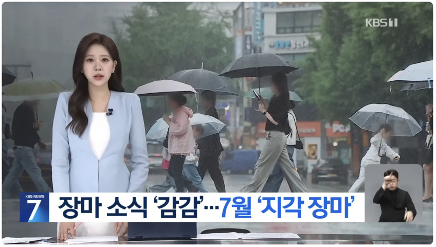 FLOSS & ROCK
컬러체인징 키즈우산 5종 상세 이미지 4