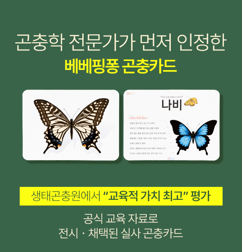 베베핑퐁 낱말카드 상세 이미지 36