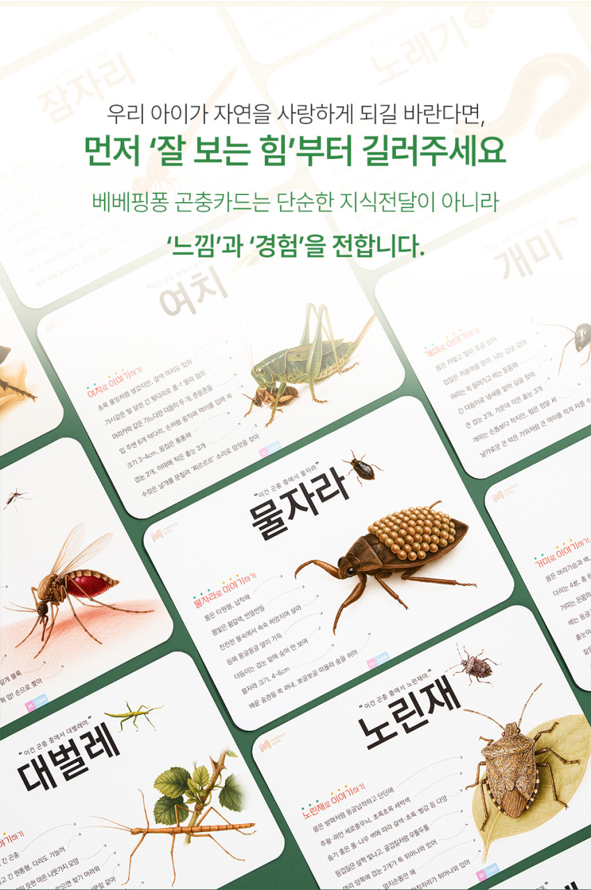 베베핑퐁 낱말카드 상세 이미지 45