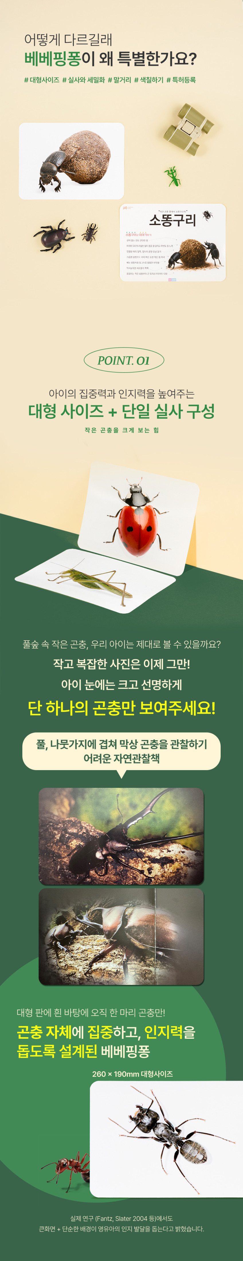 베베핑퐁 낱말카드 상세 이미지 48