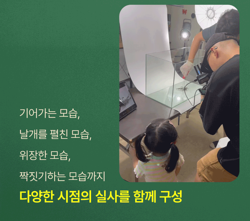 베베핑퐁 낱말카드 상세 이미지 50