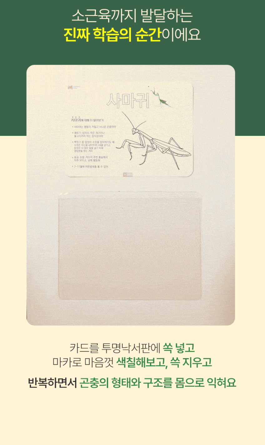 베베핑퐁 낱말카드 상세 이미지 57