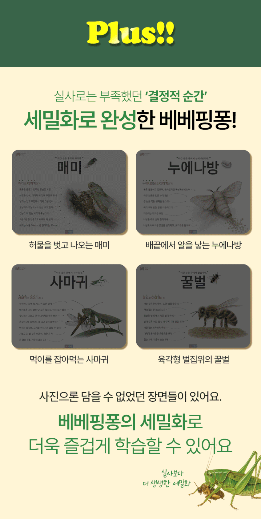 베베핑퐁 낱말카드 상세 이미지 58