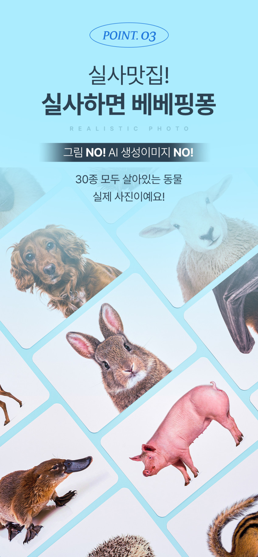 베베핑퐁 낱말카드 상세 이미지 134