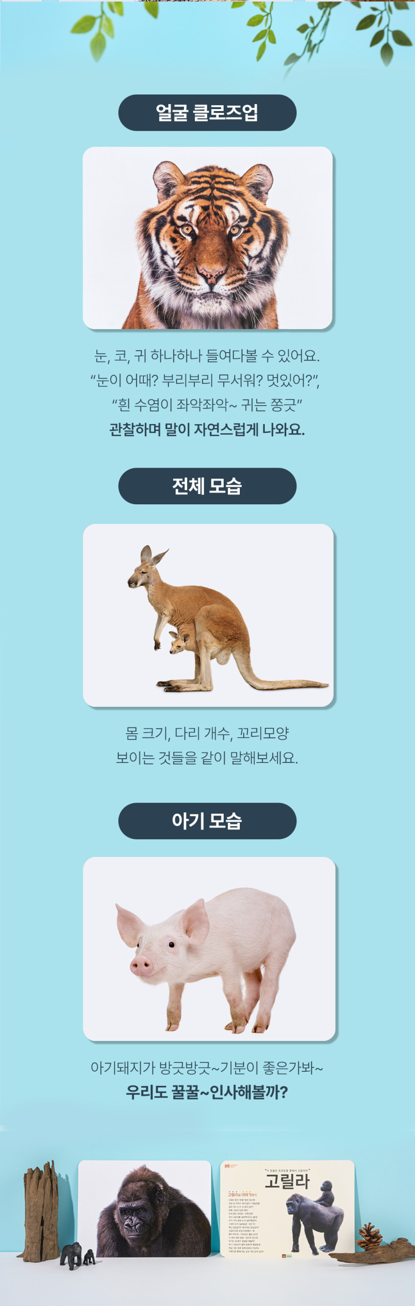 베베핑퐁 낱말카드 상세 이미지 135