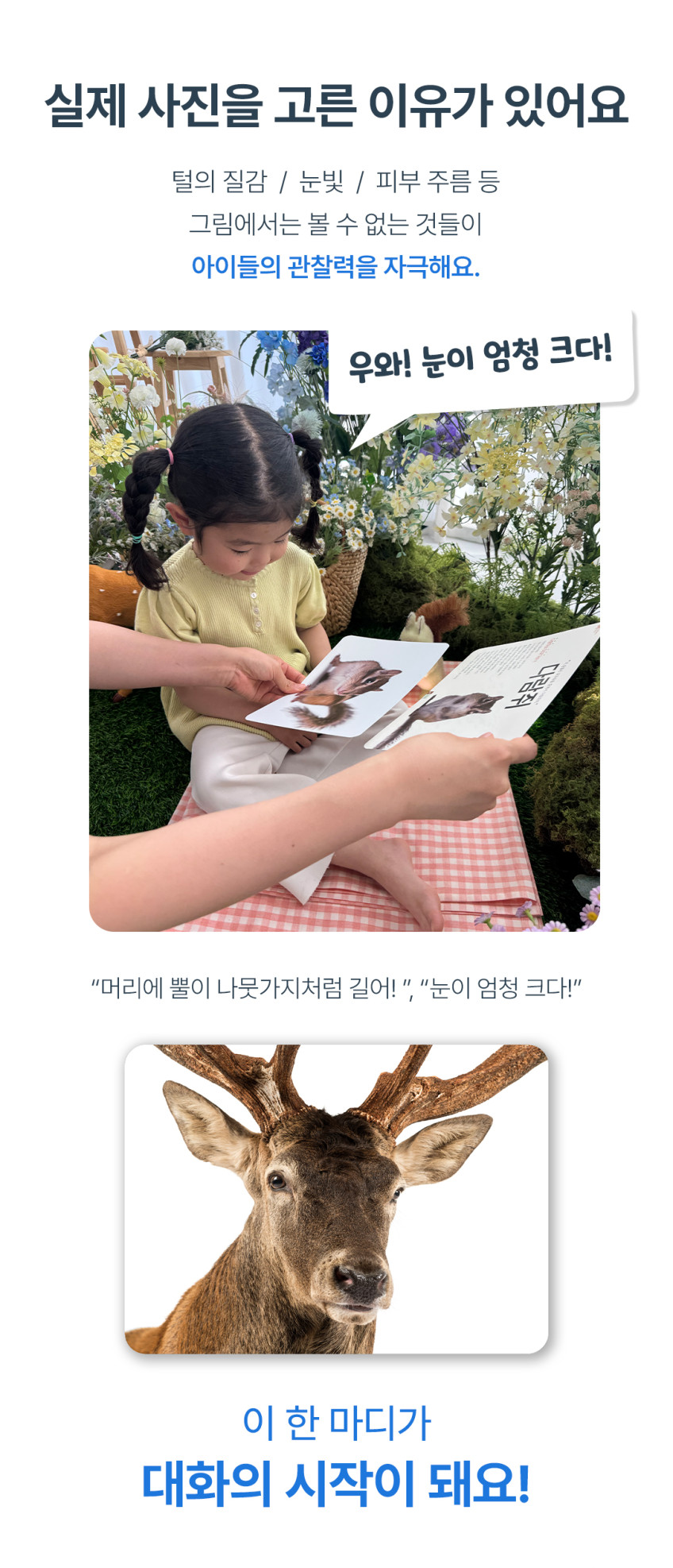 베베핑퐁 낱말카드 상세 이미지 136