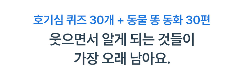 베베핑퐁 낱말카드 상세 이미지 142