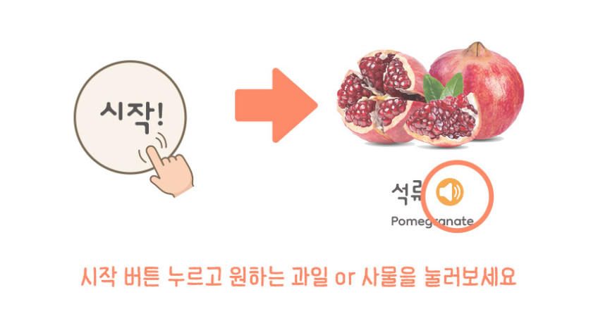 첫 지식 사운드북 1 & 2 상세 이미지 12