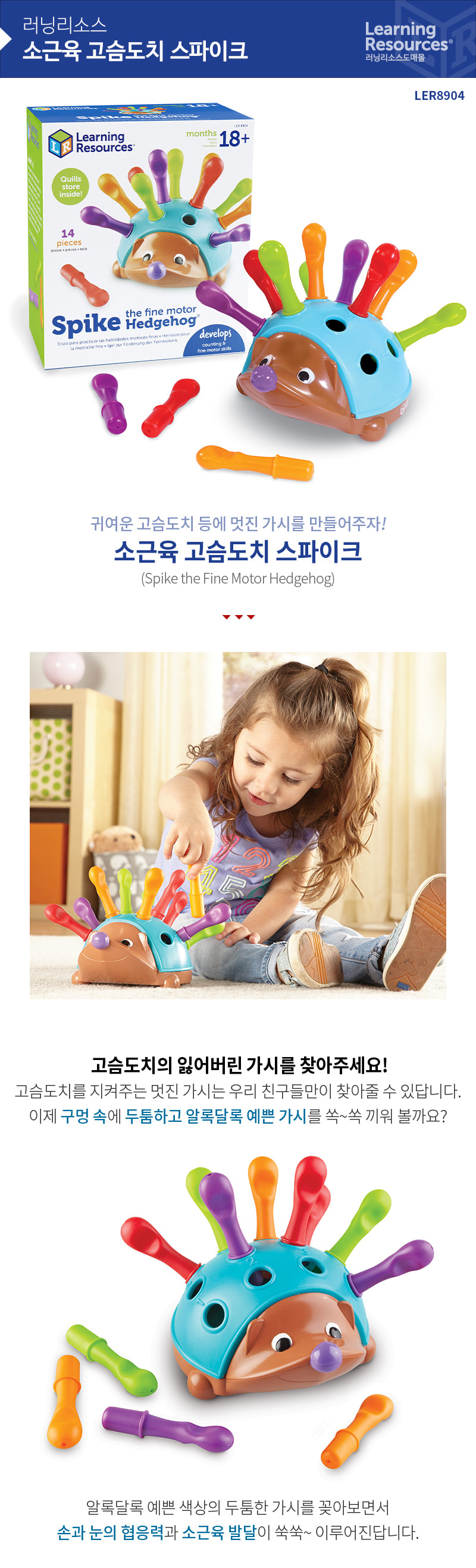 소근육 고슴도치 스파이크 상세 이미지 11
