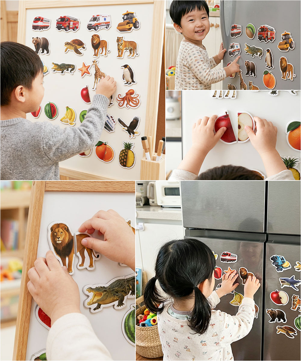 실사/그림 자석 퍼즐
골라담기 상세 이미지 2
