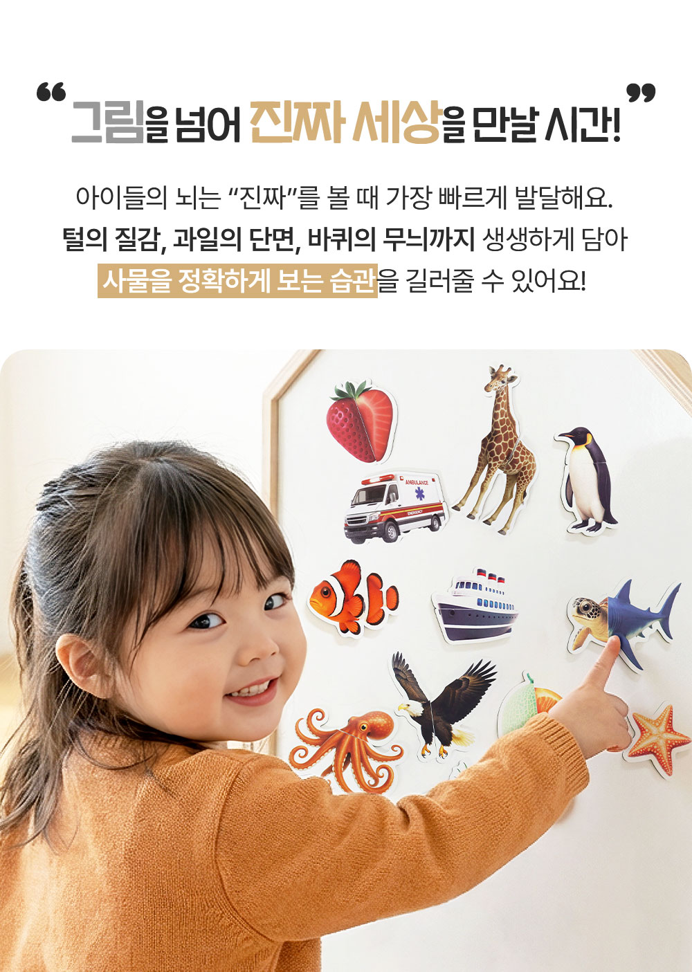 실사/그림 자석 퍼즐
골라담기 상세 이미지 4