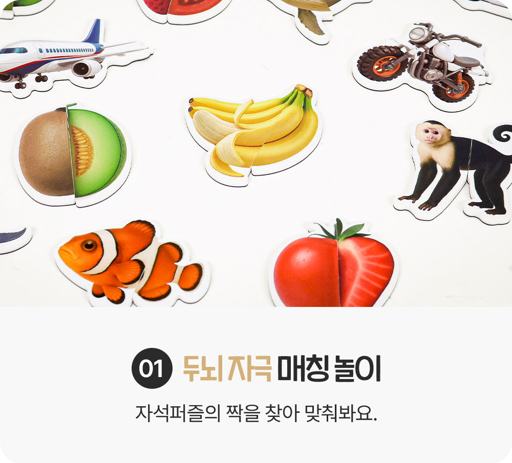 실사/그림 자석 퍼즐 세트 상세 이미지 9