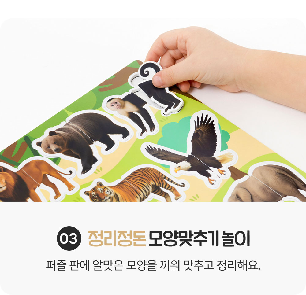 실사/그림 자석 퍼즐 세트 상세 이미지 11