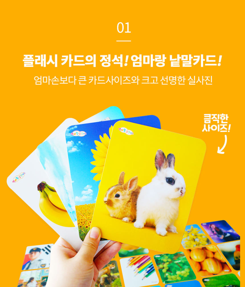 엄마랑 낱말카드 
(150장 / 210장) 상세 이미지 7