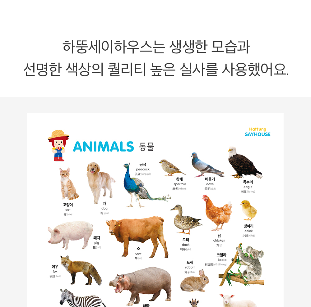 하뚱 세이하우스 + 낱말카드 + 톡톡북 + 자석놀이 5종 + 세이펜 상세 이미지 30