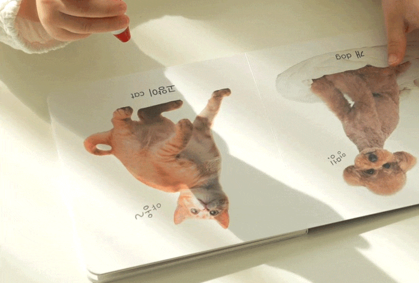 하뚱톡톡북 상세 이미지 19