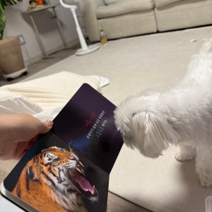 리뷰 이미지 1